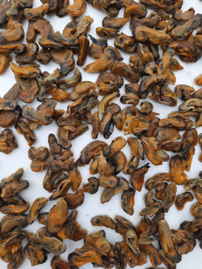 Brown Mussels meat |