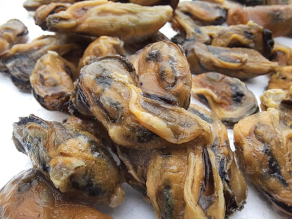 Brown Mussels meat |
