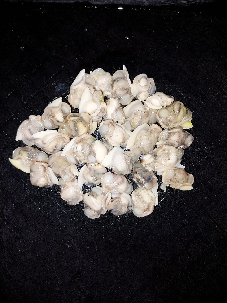 Clams meat