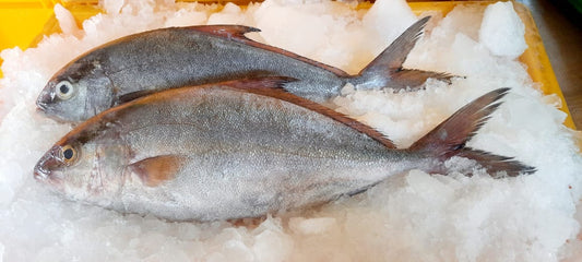 Butter fish | ponnaram