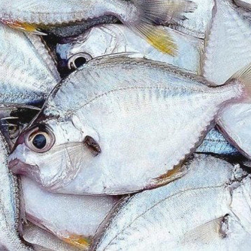 Fish Variants That Are Loved By People.Thoroghly cleaned and gutted ...